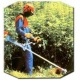 Бензокоса (бензиновый триммер) Stihl FS 55 C в Архангельске