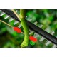 Высоторез аккумуляторный Bosch UniversalHedgePole 18 в Архангельске