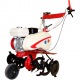 Культиватор Garden France T51 с двигателем Winzor 7 л.с. в Архангельске