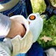 Бензокоса (бензиновый триммер) Stihl FS 38 с дополнительной шпулей в Архангельске