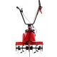 Культиватор Eurosystems Euro-5 EVO RM S/R Honda GX160 в Архангельске