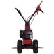 Бензиновая сенокосилка Eurosystems Minieffe 502 RM B&amp;S 625EXi в Архангельске