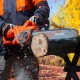Пила цепная (электропила) Daewoo DACS 2500E-16 в Архангельске