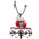 Культиватор Eurosystems Euro-5 EVO RM S/R Honda GX160 в Архангельске