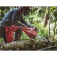 Бензопила Shindaiwa 501SX в Архангельске