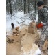 Бензопила Stihl MS 180 C-BE-14&quot; Ergostart в Архангельске