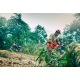 Бензопила Husqvarna 455e Rancher-20X&quot; в Архангельске