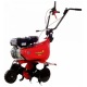 Культиватор Eurosystems Euro-5 EVO RM S/R B&amp;S 950 Series в Архангельске