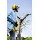 Высоторез аккумуляторный Karcher PSW 18-20 (без аккумулятора и зарядного устройства) в Архангельске