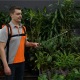 Аккумуляторный опрыскиватель Daewoo DSA 12Li SET в Архангельске
