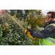 Аккумуляторный кусторез Dewalt DCM563PB (без аккумулятора и зарядного устройства) в Архангельске