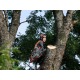 Бензопила Husqvarna 545 Mark II-15&quot; в Архангельске