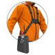 Бензокоса (бензиновый триммер) Carver GBC-052M Pro в Архангельске